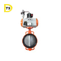 Competitive Good Quality Price Lug Pneumatic Butterfly Valve